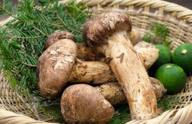 北米産松茸の期間限定,先行予約販売を開始