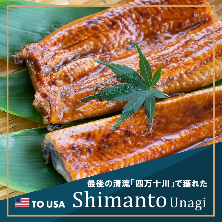 最後の「清流」四万十川で穫れたShimanto Unagi高知県四万十産ウナギ蒲焼き・白焼き、詳しく見る