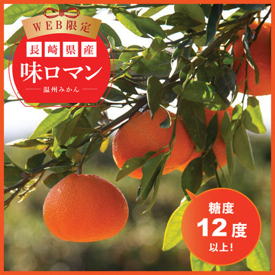 長崎県産 味ロマン【11月下旬～１月中旬】