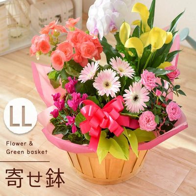 季節のフラワーバスケット