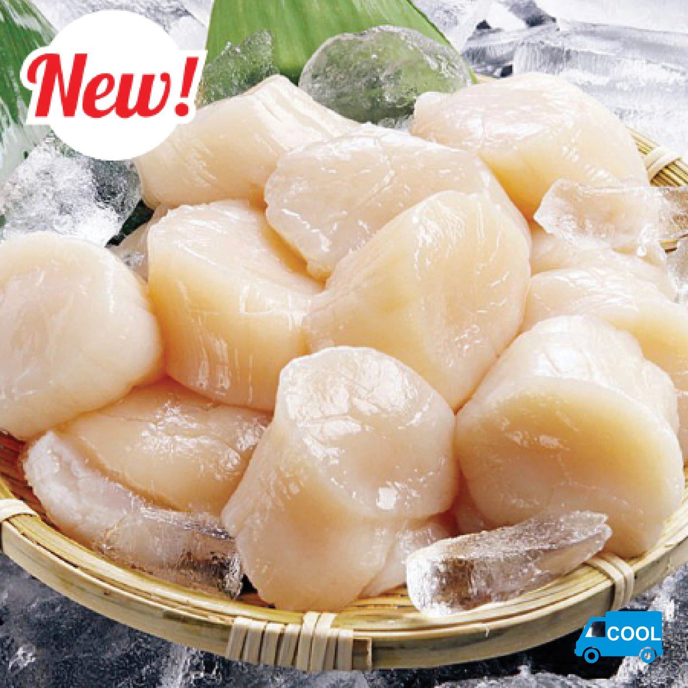 Premium Hokkaido Scallops