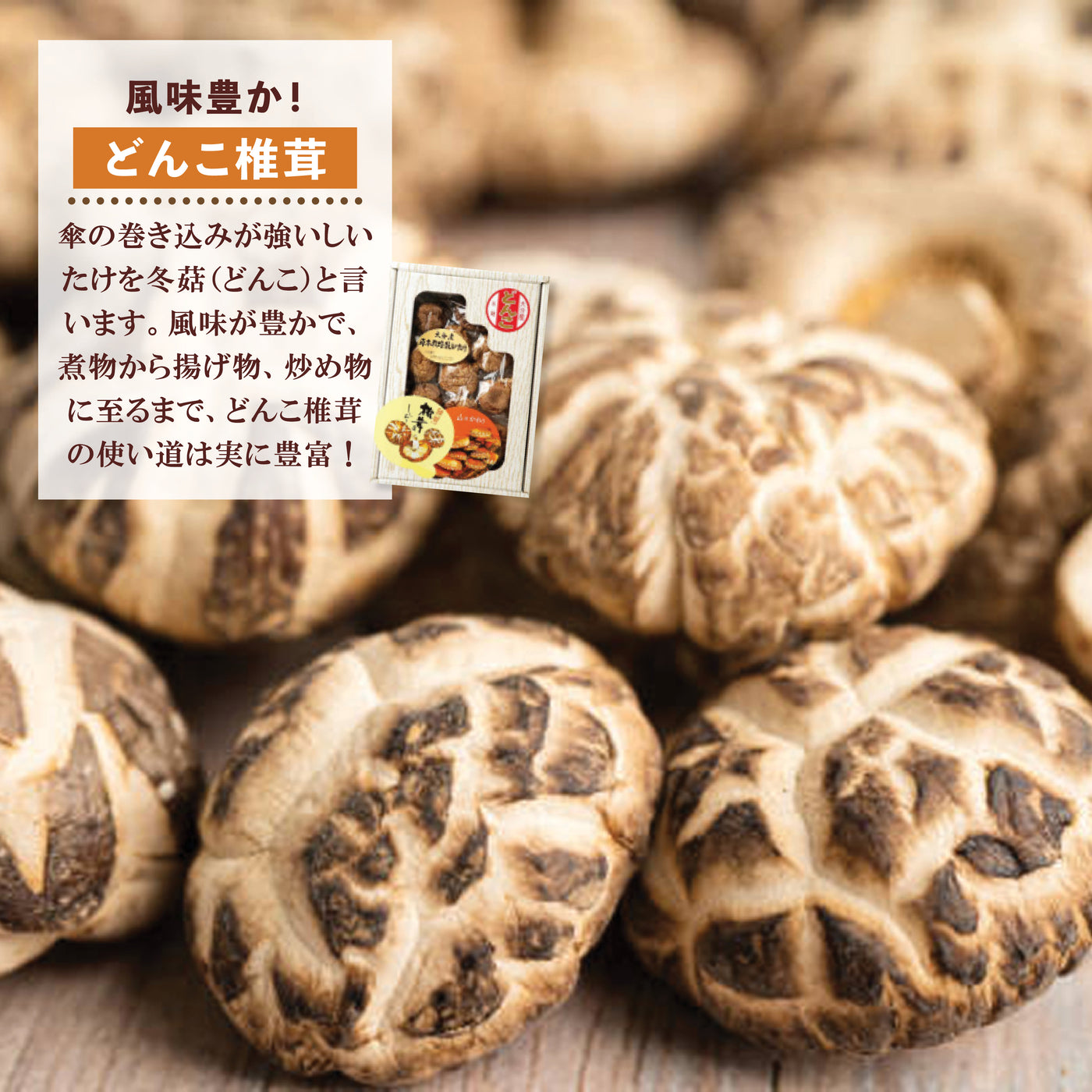 【数量限定】どんこ生そば・つゆ・海苔セット