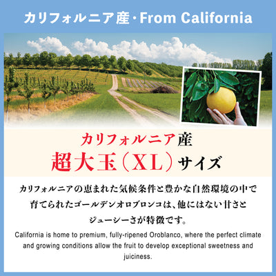 カリフォルニア産 完熟オロブロンコ【2月～3月】