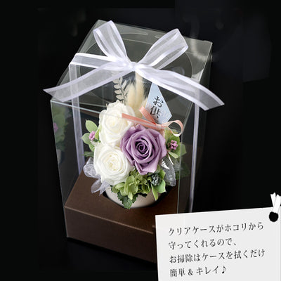 Preserved Flower Sympathy S