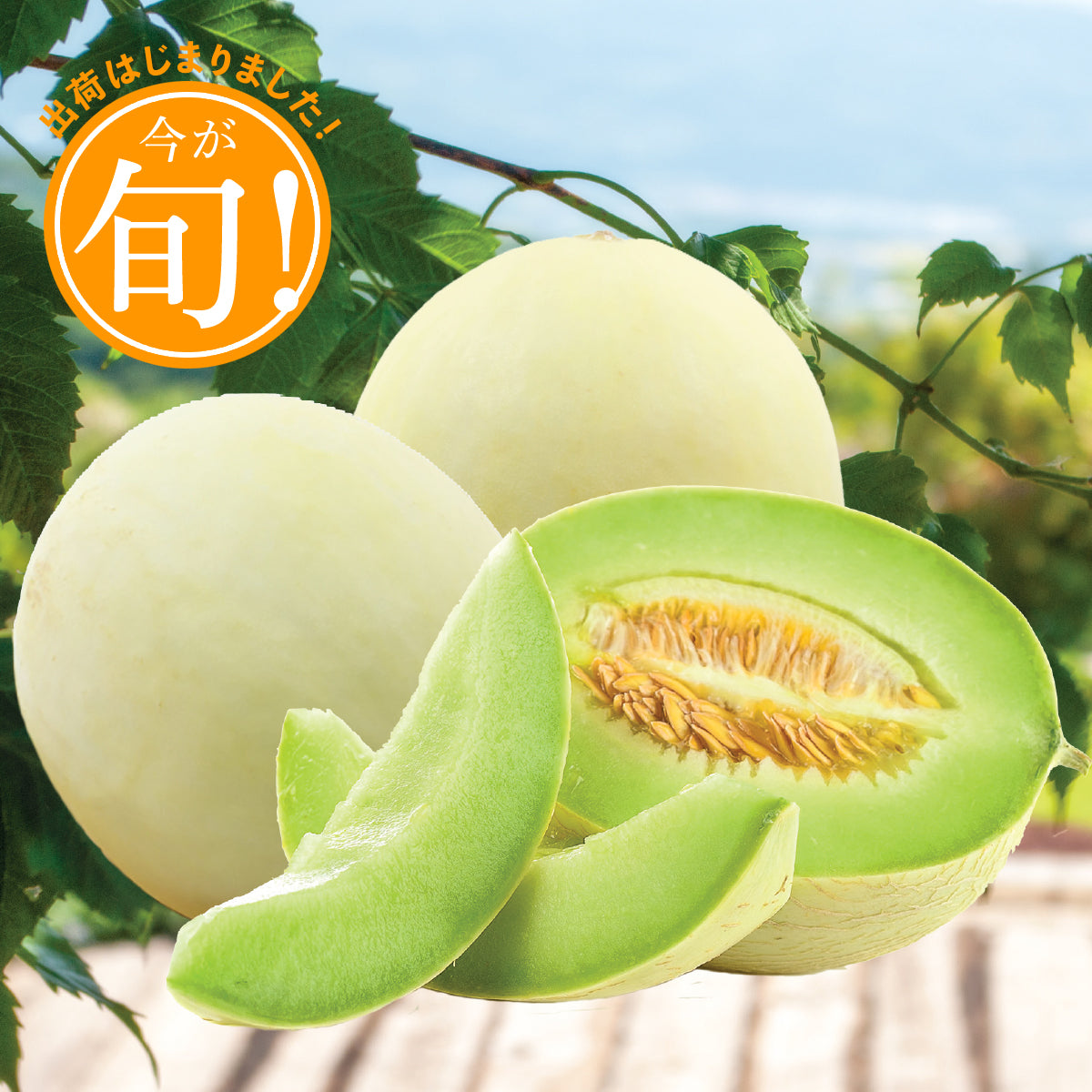 California Honeydew Melon (L)