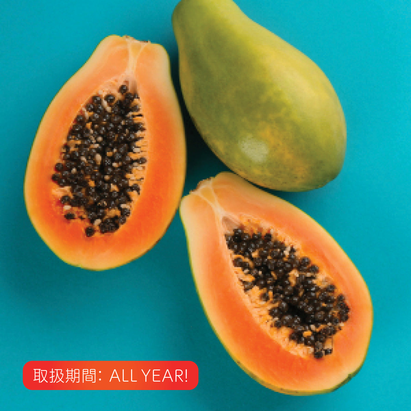 Hawaiian Papaya (L)