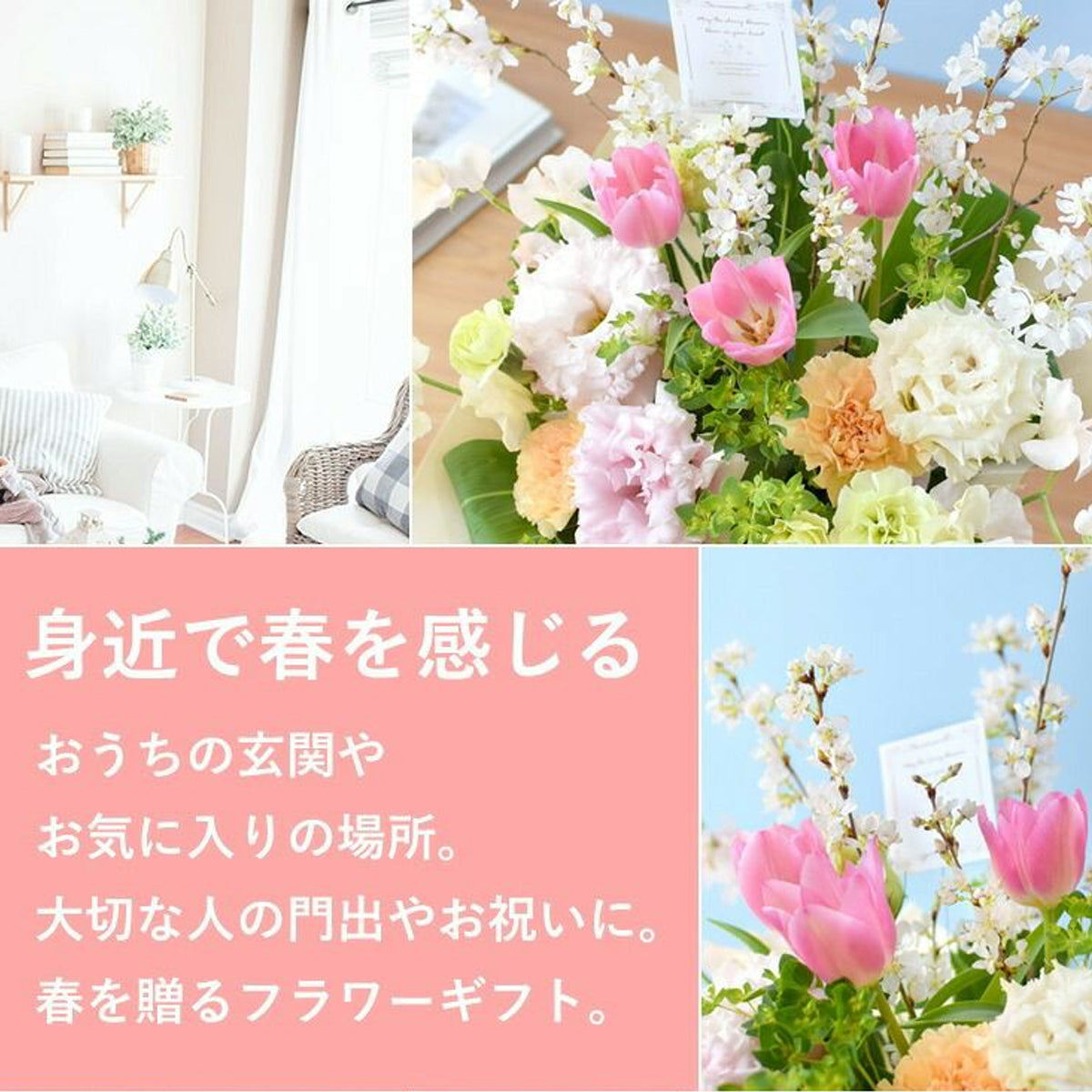 【Spring Special】Sakura Bliss