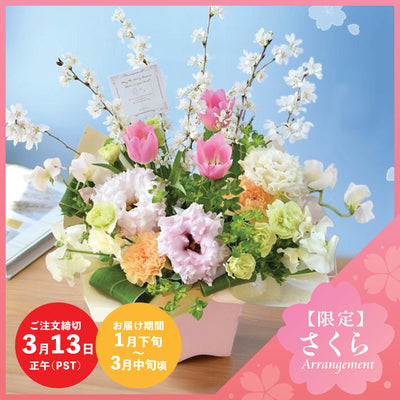 【Spring Special】Sakura Bliss