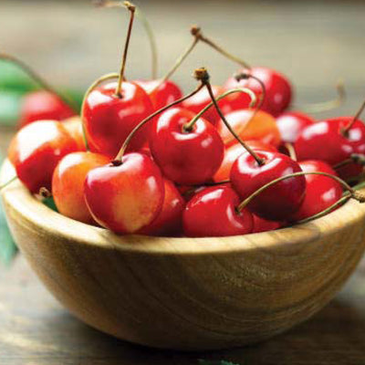 Washington Rainier Cherry (Available July)