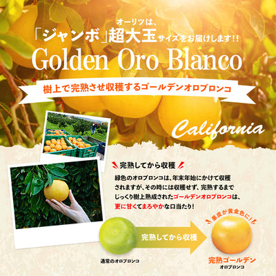 カリフォルニア産 完熟オロブロンコ【2月～3月】